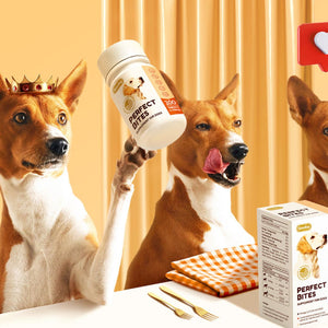 PET SUPPLEMENTS 🐾