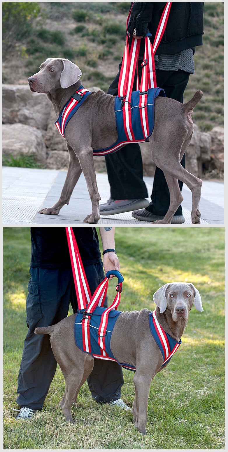 Pet Leash Harness For Elderly Dogs Elderly Dog Leash Harness