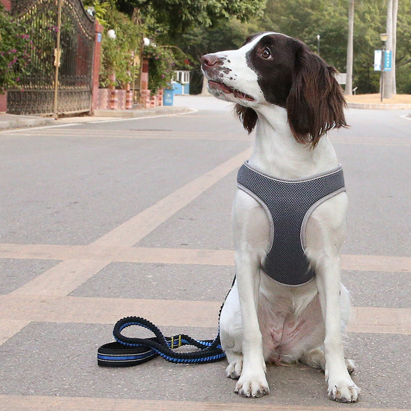 Dog Leash Vest Pet Harness Bullfight Adjustable Dog Harness Vest