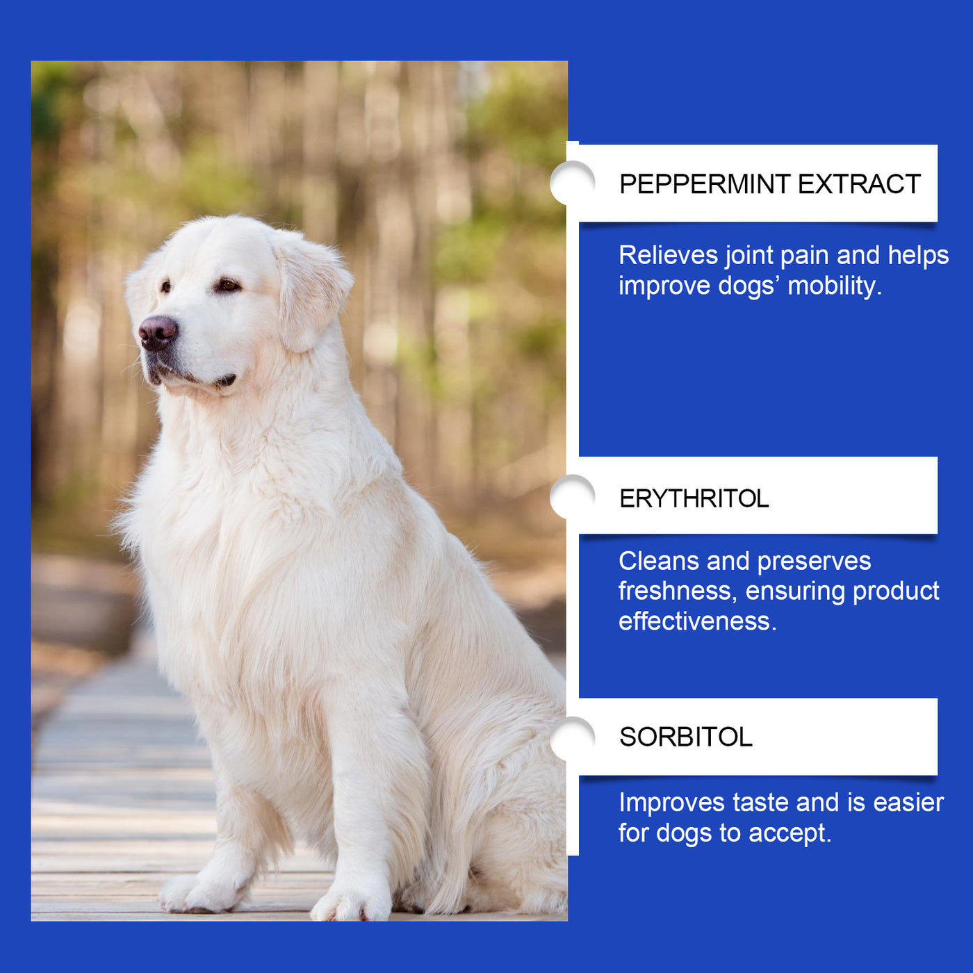 Pet Dog Joint Supplements Improve Nutrition And Care Joint Health